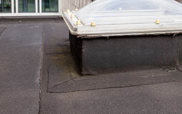 disadvantages of Napleton flat roofs