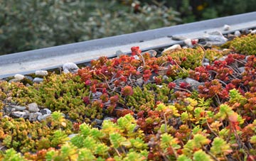 the cost of Napleton green roof installation