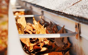 Napleton gutter cleaning companies