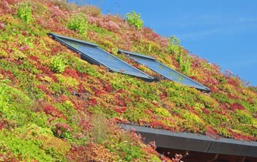 Napleton living roof systems