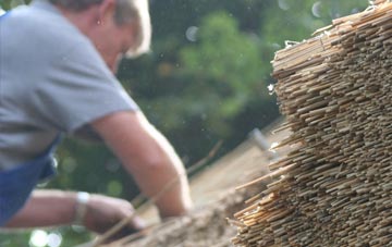 professional Napleton thatchers